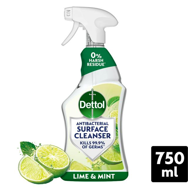 Dettol Antibacterial Surface Cleanser Spray 750ml